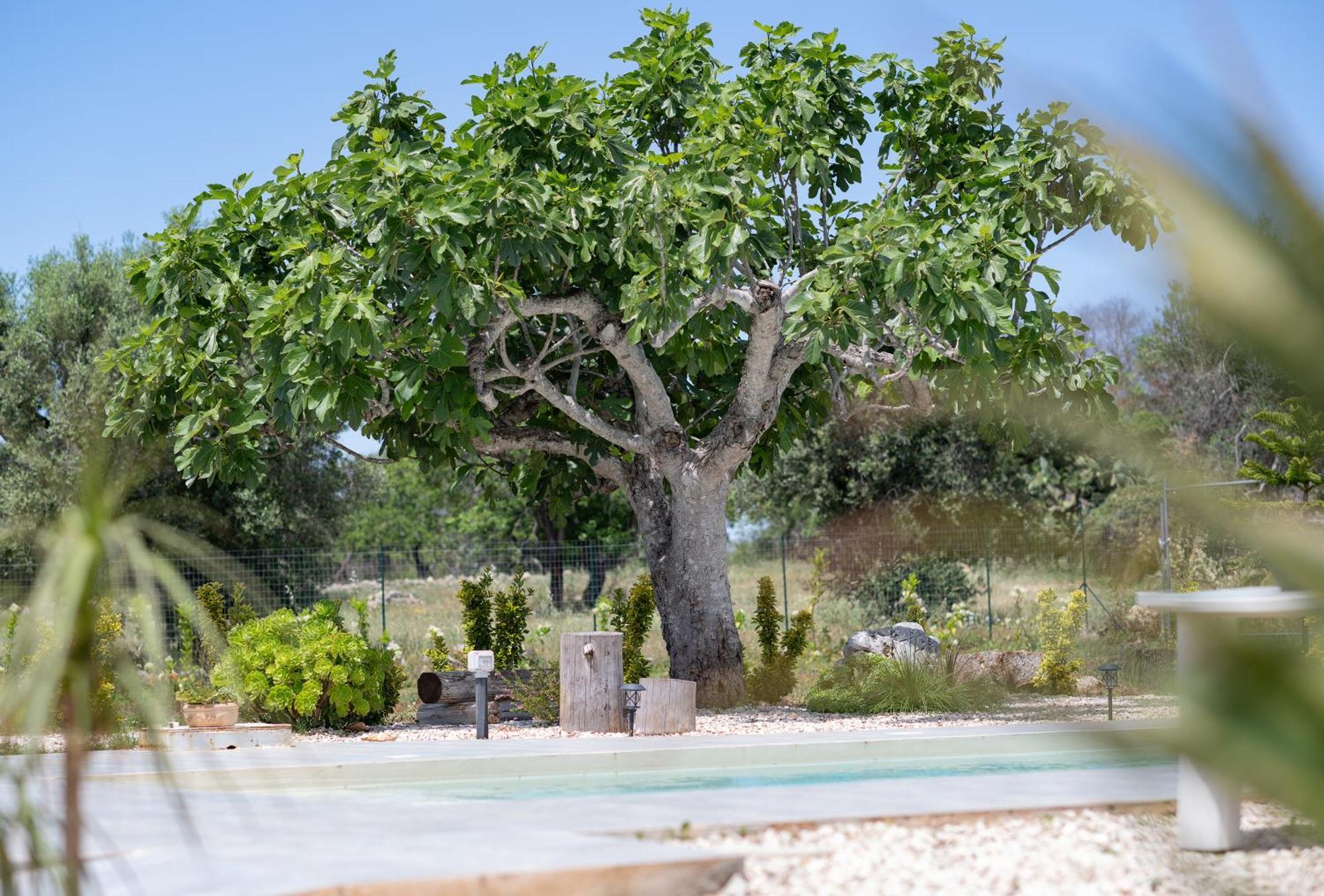 Myricae By Bianco Puglia Vacanze * San Vito dei Normanni